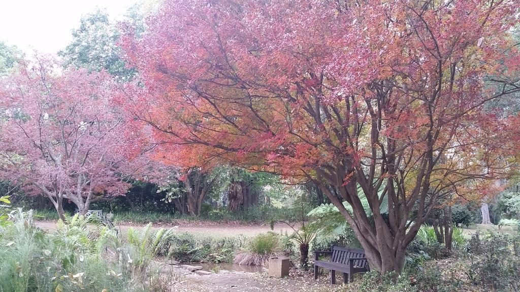 Babbling Brook Bed & Breakfast Pietermaritzburg Εξωτερικό φωτογραφία