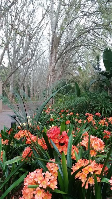 Babbling Brook Bed & Breakfast Pietermaritzburg Εξωτερικό φωτογραφία