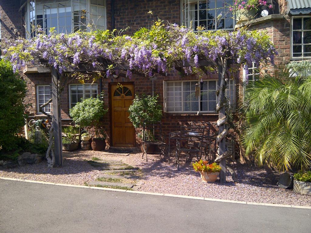 Babbling Brook Bed & Breakfast Pietermaritzburg Εξωτερικό φωτογραφία