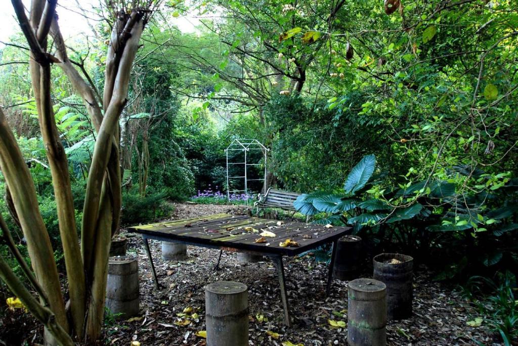 Babbling Brook Bed & Breakfast Pietermaritzburg Εξωτερικό φωτογραφία