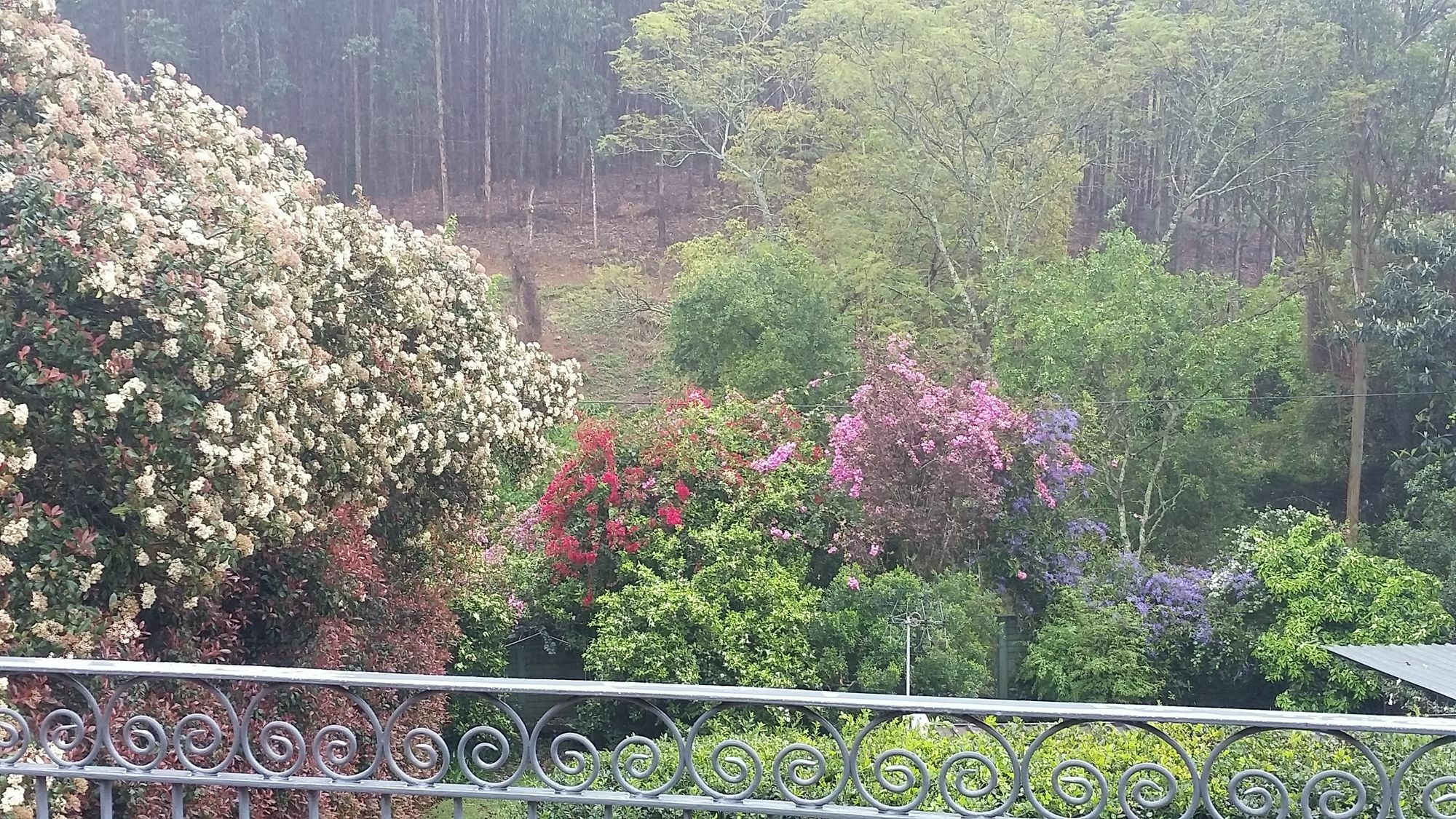 Babbling Brook Bed & Breakfast Pietermaritzburg Εξωτερικό φωτογραφία