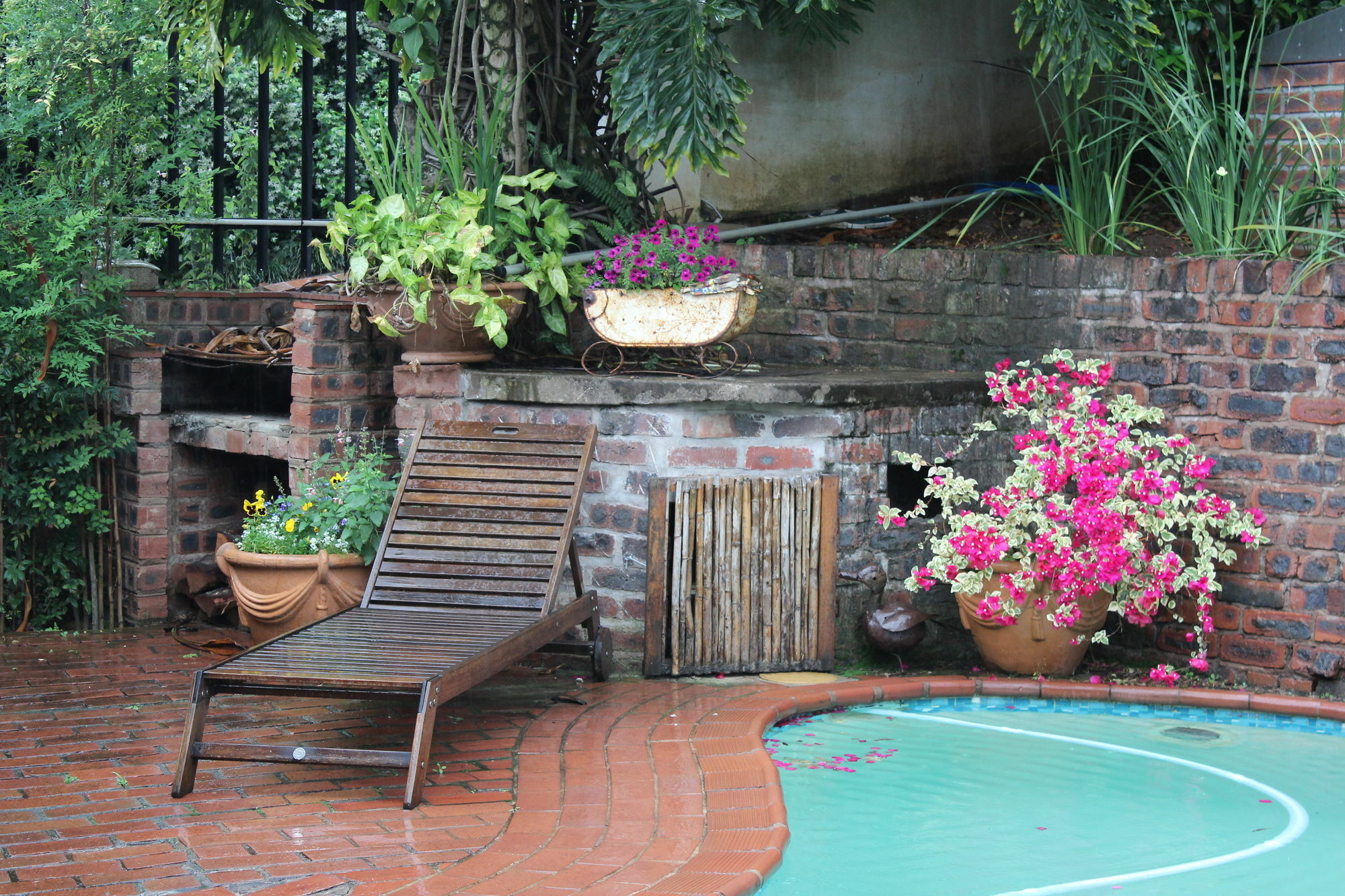 Babbling Brook Bed & Breakfast Pietermaritzburg Εξωτερικό φωτογραφία